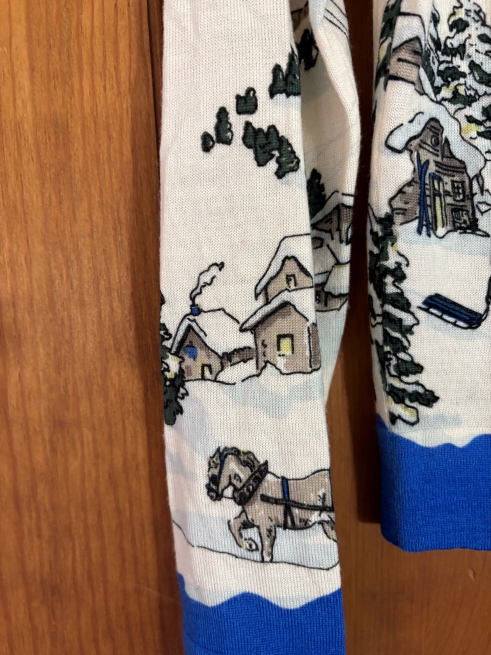 Rare Collectable J.Crew Vintage Ski Scene Sweater Merino Wool Size Small - Picture 5 of 12